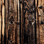 Cover Image of Herunterladen wallpapers woody  APK