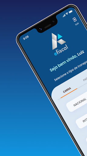E-Fiscal Screen 2