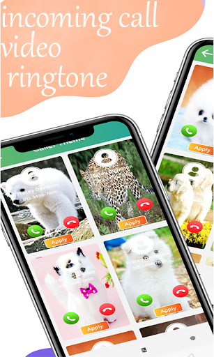 Animals video ringtone