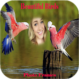 Beautiful Birds Photo Frames New icon