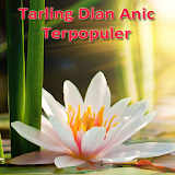 Tarling Dian Anic icon
