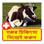 Cover Image of ดาวน์โหลด গরুর চিকিৎসা নিজেই করুন ~ Cows Treatment 1.0 APK
