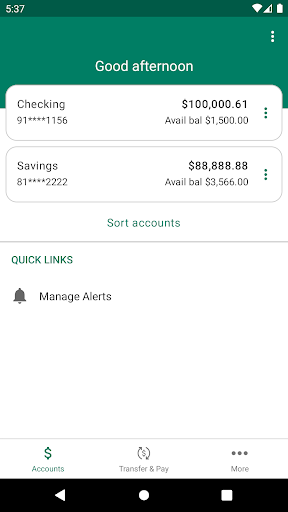 Chemco Federal Credit Union Screen 3