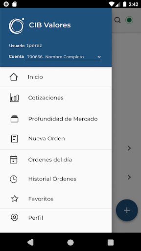 CIBVALORES Screen 2