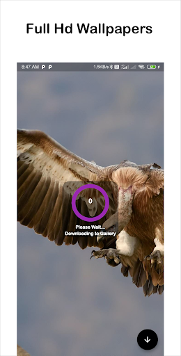 WallHub - wallpapers app