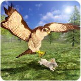 Wild Falcon Simulator 3D icon