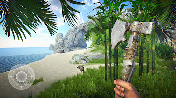 Last Pirate: Survival Island Adventure  0.992  poster 2