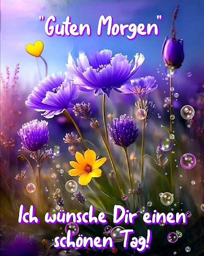 Android application Guten Morgen Nacht Bilder 2024 screenshort