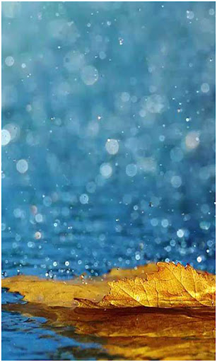 Beautiful Rain Wallpapers Screen 3