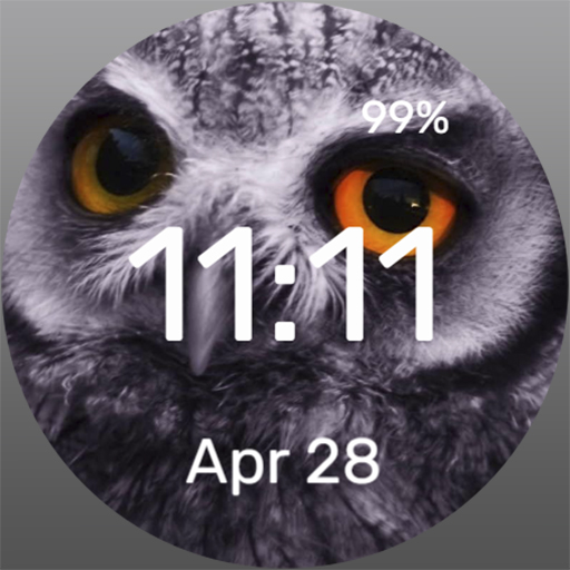 Owl - Watch Face Download on Windows