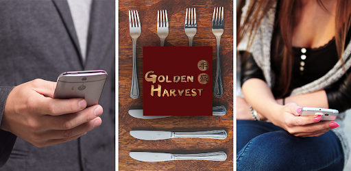 Golden Harvest Belfast