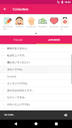 Italian Japanese Offline Dictionary & Translator