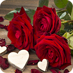 Cover Image of Download Red Rose Wallpapers & Backgrounds (Offline) 6.3.3 APK