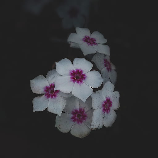 Turkish Sad Music logo
