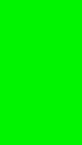 Demo_Cat Screen 2