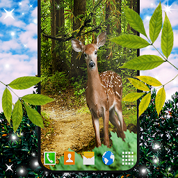 Icon image Forest Live Wallpaper