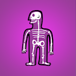 Cool Facts About Human Body Apk