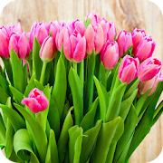Top 40 Personalization Apps Like Tulips Wallpaper 4K Latest - Best Alternatives