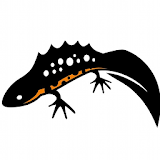 ARC - Amphibians and Reptiles icon