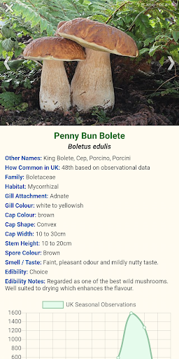 Shroomify - Mushroom Identific Screen 2