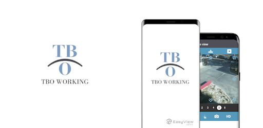 TBO WORKING SEGURIDAD EasyView