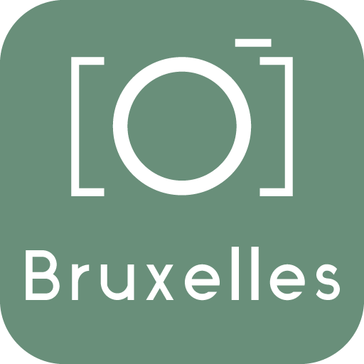 Brussels Guide & Tours 2.0 Icon