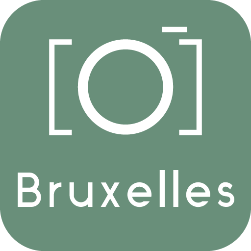 Brussels Guide & Tours