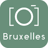 Brussels Guide & Tours icon