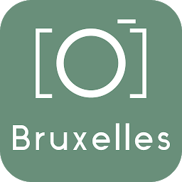 Icon image Brussels Guide & Tours