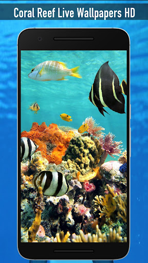 Coral Reef Live Wallpapers HD