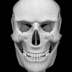 Cover Image of ダウンロード 3Dの骨系（解剖学）  APK