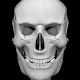 3D人骨（解剖学） Windowsでダウンロード
