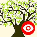 Family Tree Explorer Viewer – for the PC software Apk