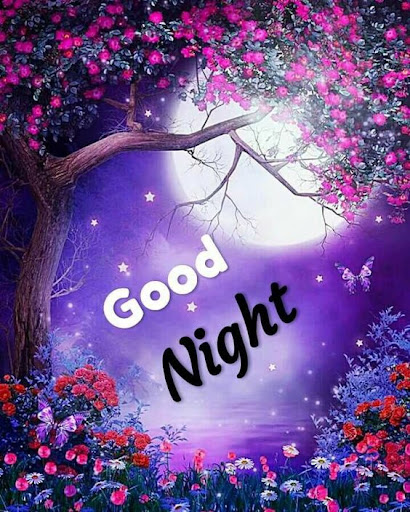 Good morning Good night