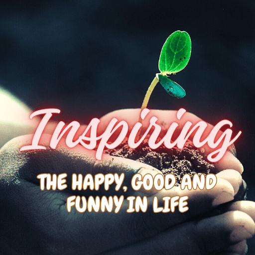 Inspiring in Life logo