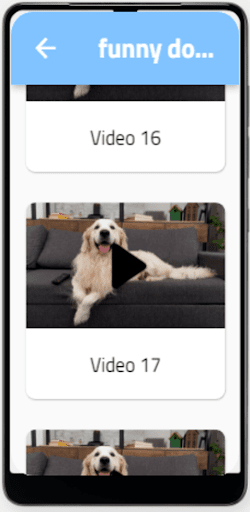 Funny Cat & Dog videos Screen 2