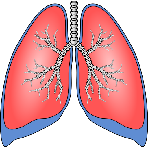 Mosa: Embolia pulmonar: Wells  1.0 Icon