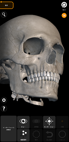 骨格 | 解剖学3D アトラスのおすすめ画像3