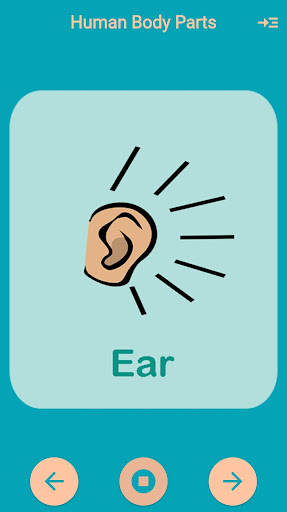 Human Body Parts Kids Learning