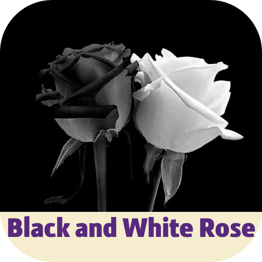 black and white rose logo