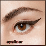 Cover Image of Download Eyeliner step by step  APK