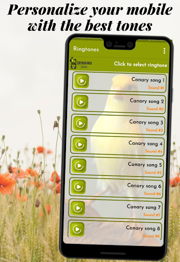 Canary bird sounds Screen 3