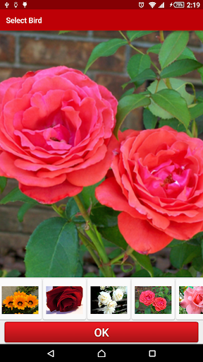 Android application Flowers Live Wallpaper screenshort