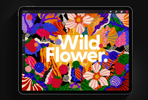 Procreate Pocket Paint  Art App