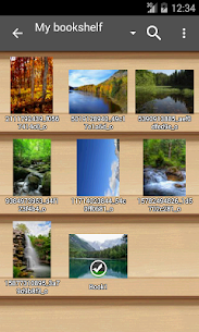 Perfect Viewer v5.0.2.1 Final Donate Mod 2
