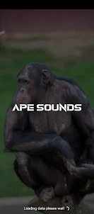 Ape sounds