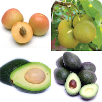 Guess the fruits name - Can you guess these fruits