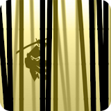 Ninja das Sombras Full icon