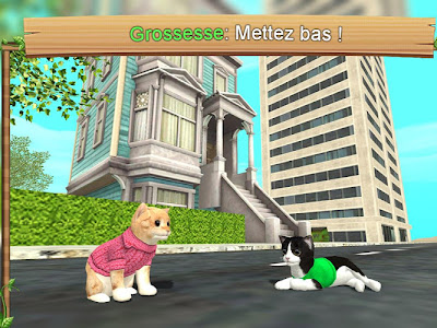 [Achevée! ] jeux de chat et de chien 150877-Jeux pour chat et chien