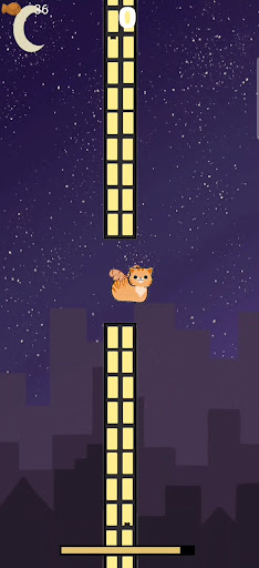 Flying Cat Screen 2